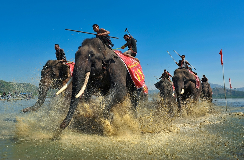 Ảnh[-]đoạt[-]giải[-]Festival[-]Nhiếp[-]ảnh[-]trẻ[-]năm[-]2015